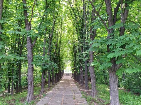 квартира за адресою Уманська вул., 41