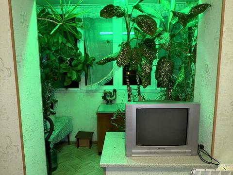 квартира за адресою Братства Тарасівців вул. (Декабристів), 9-А