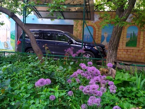 квартира по адресу Ясна, 8