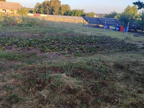 дом по адресу пгт. Яворницкое (Илларионово), Харківська