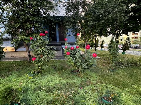 квартира за адресою Київ, Драгоманова вул., 6-А