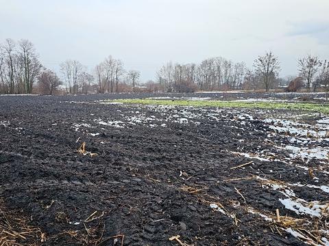 дом по адресу Полевая ул.