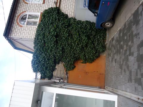 дом по адресу Мариупольская ул.