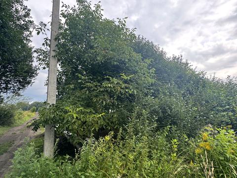 участок по адресу Александра Довженко ул., 27