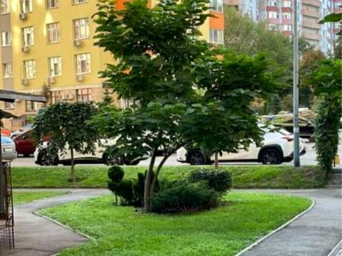 квартира по адресу Семьи Кульженков ул. (Дегтяренко Петра), 35
