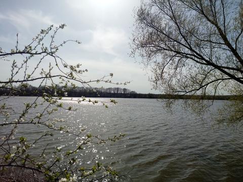 будинок за адресою Центральна вул. (Мічуріна)