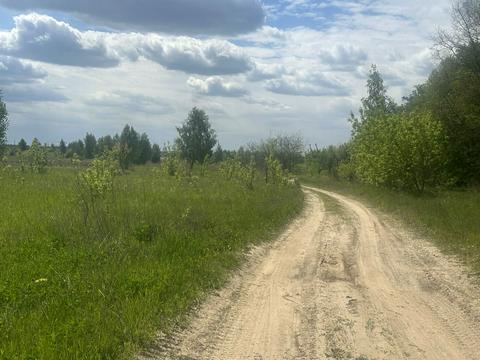ділянка за адресою с. Нові Петрівці, 