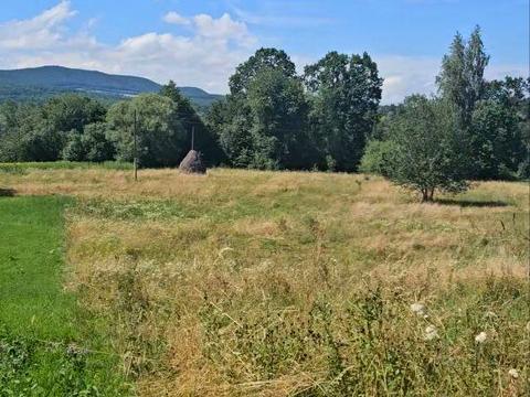 ділянка за адресою Іванівка