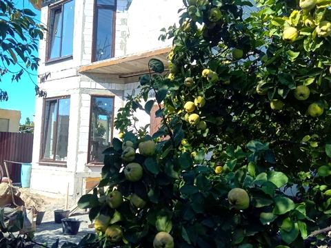 будинок за адресою Композитора Вербицького вул. (Олександра Вронського)