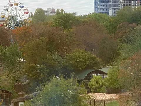 квартира за адресою Тбіліський пров., 1