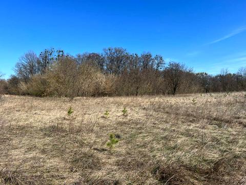 ділянка за адресою вул. Василькова, 2