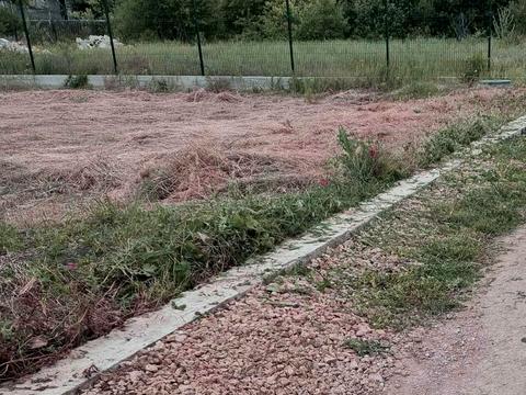 участок по адресу Армійська, 45