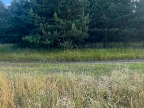 ділянка за адресою с. Китайгород, 