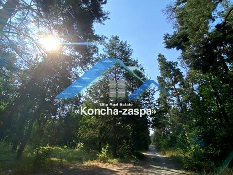 ділянка за адресою смт. Козин, 