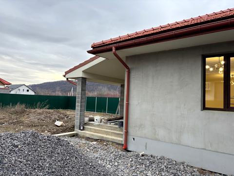 будинок за адресою с. Невицьке, Центральна