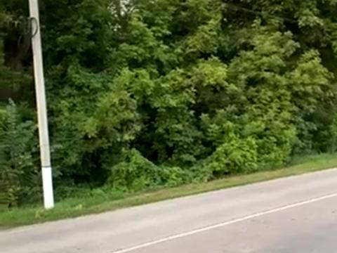 ділянка за адресою с. Проців, 