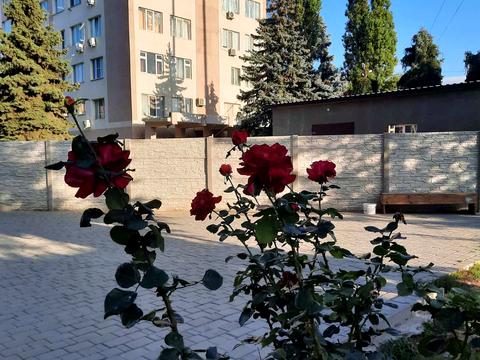 квартира за адресою Миколи Боровського вул., 37