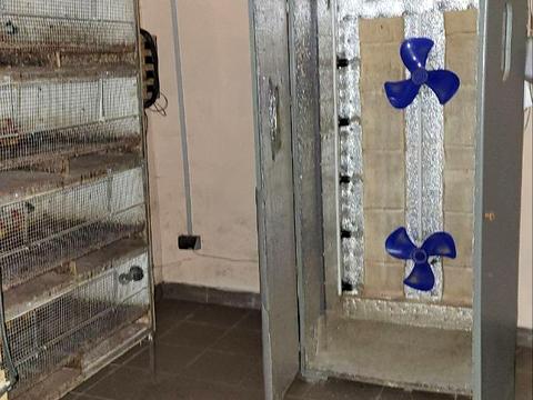 комерційна за адресою с. Новий Білоус, проточна, 9