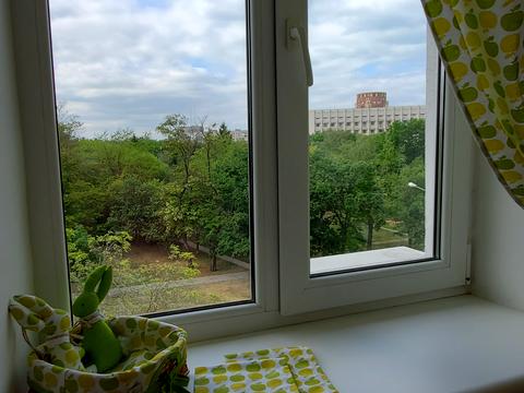 квартира за адресою Лесі Українки просп. (Гагаріна), 15