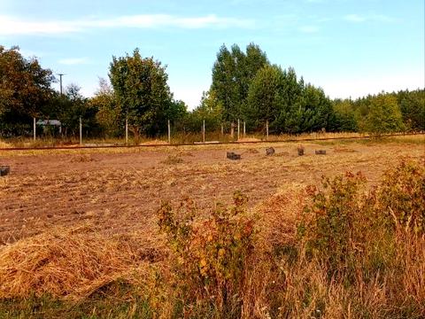 участок по адресу Панаса Мирного, 53