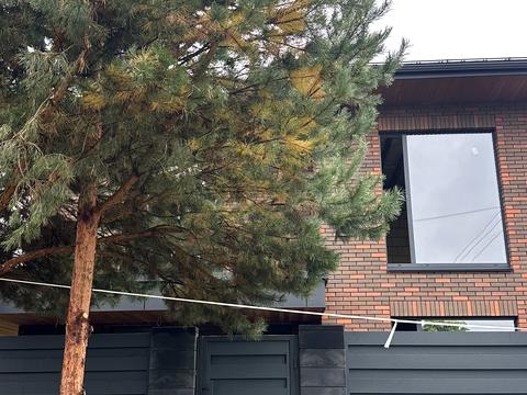 будинок за адресою Центральна вул.