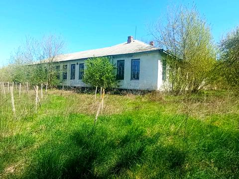 комерційна за адресою Центральна, 1А