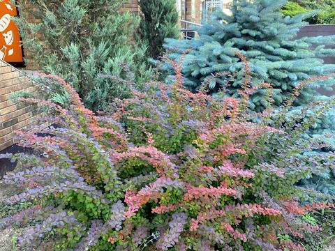 квартира за адресою Марсельська вул., 33в