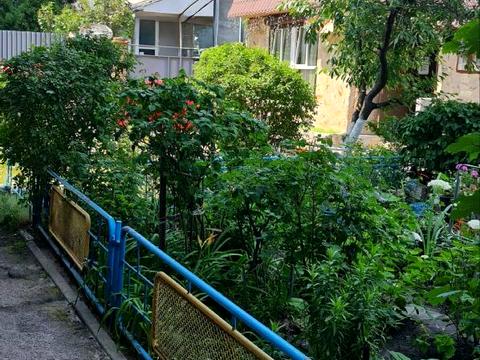 комерційна за адресою Миру просп., 4-А
