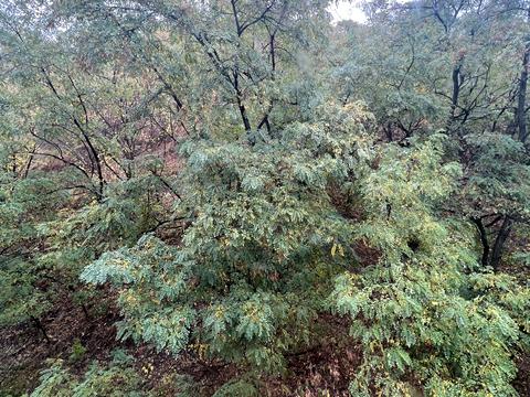 квартира за адресою Воздвиженська вул., 9-19