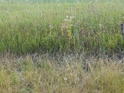 ділянка за адресою Вінницьке шосе