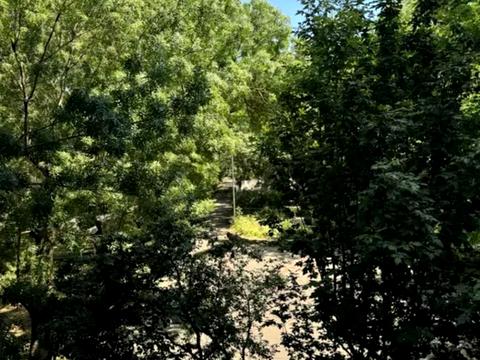 квартира по адресу Аркадиевский пер., 9/1