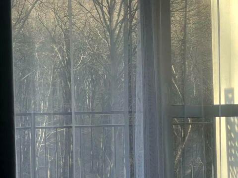 квартира за адресою Лісна вул., 1