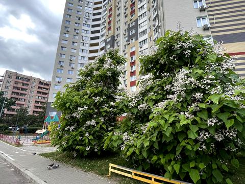 квартира по адресу Юлии Здановской ул. (Ломоносова), 81-Б