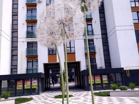 квартира за адресою Івано-Франківськ, Гетьмана Мазепи вул., 164, к3