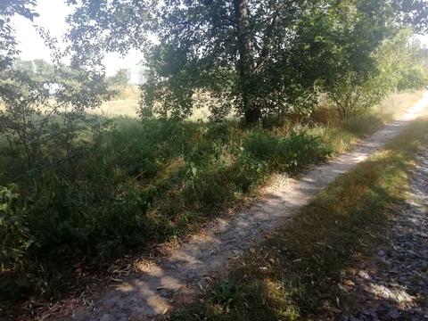 участок по адресу Шевченка, 16 а