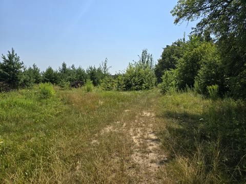 ділянка за адресою Орлова