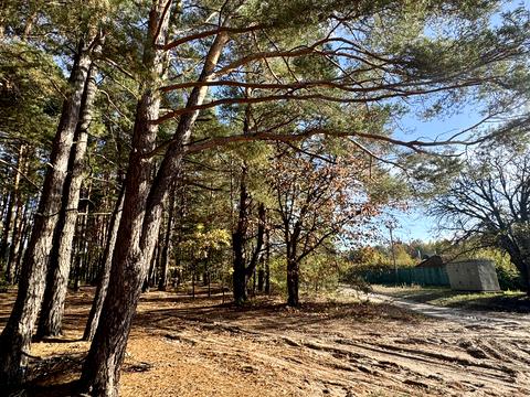 ділянка за адресою Чубаря