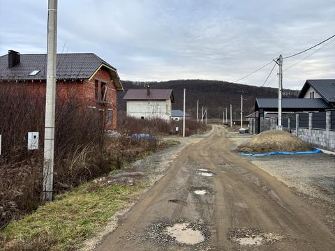 будинок за адресою с. Невицьке, Центральна