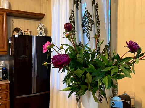будинок за адресою 12/а Ентузіастів, 18