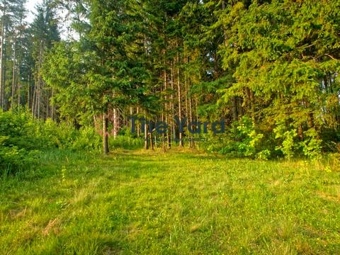 ділянка за адресою Нова