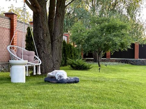 будинок за адресою Соборна вул.