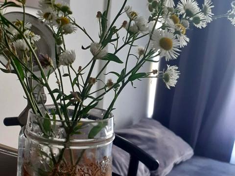 квартира по адресу Соборности просп. (Воззʼєднання), 17