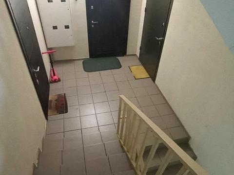 квартира по адресу Павла Чубинского ул., 2