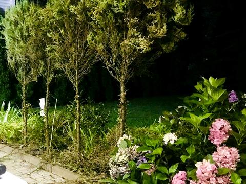 будинок за адресою Валерія Лобановського просп. (Червонозоряний)