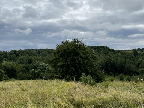 участок по адресу Миру