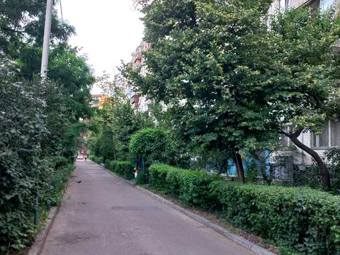 квартира по адресу Анатолия Соловьяненко ул. (Олександра Бойченка), 8