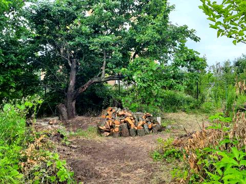 участок по адресу Андрія Шептицького