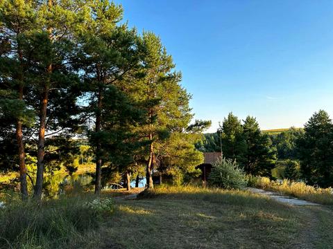 будинок за адресою Рильського