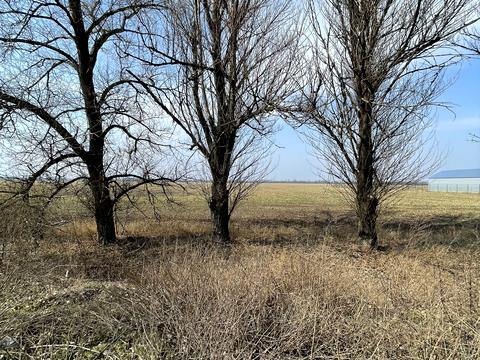 участок по адресу с. Русская поляна, Смілянська