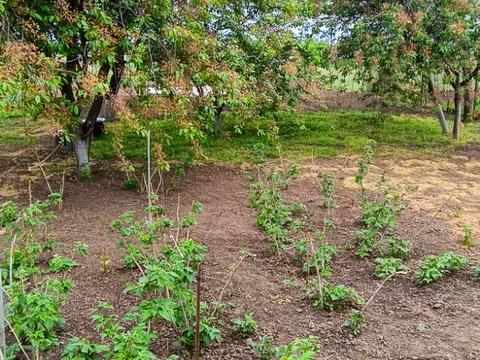 будинок за адресою смт. Гребінки, Київська вул.